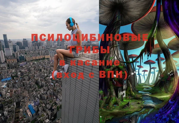 синтетический гашиш Алексин