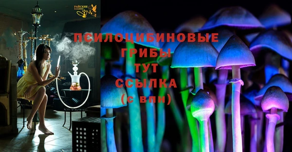синтетический гашиш Алексин