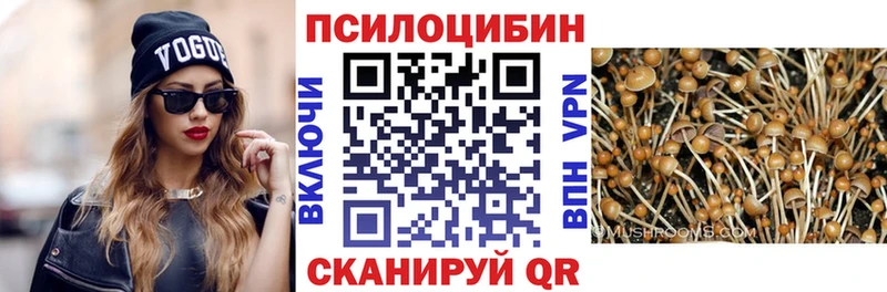купить закладку Крымск Галлюциногенные грибы Psilocybe